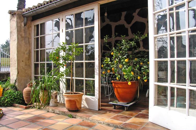 Skapa en vinterträdgård-växter-övervintrar-terrakottakakel-citronträd