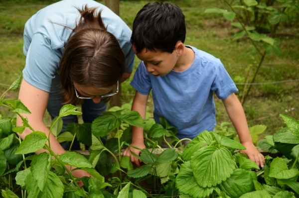Skapa trädgårdsidéer med barn