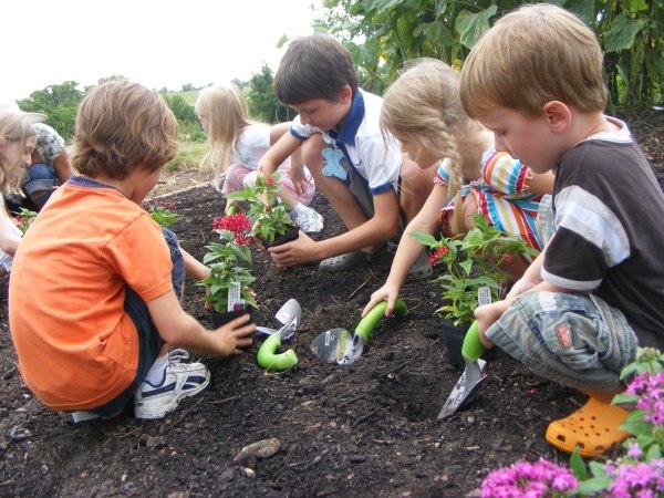 Råd till föräldrar-trädgård med barnens designtips