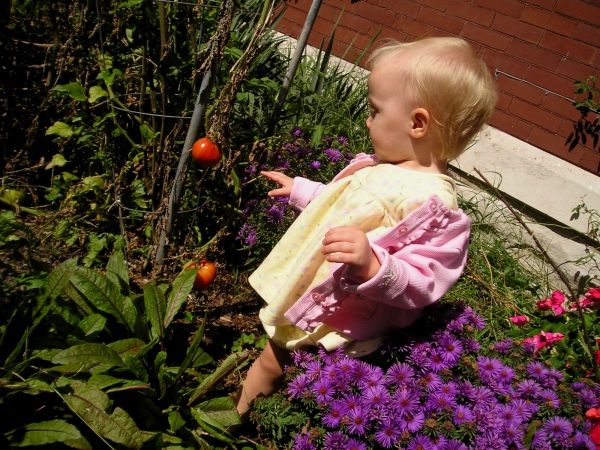 Skapa en blomsterträdgård för barn
