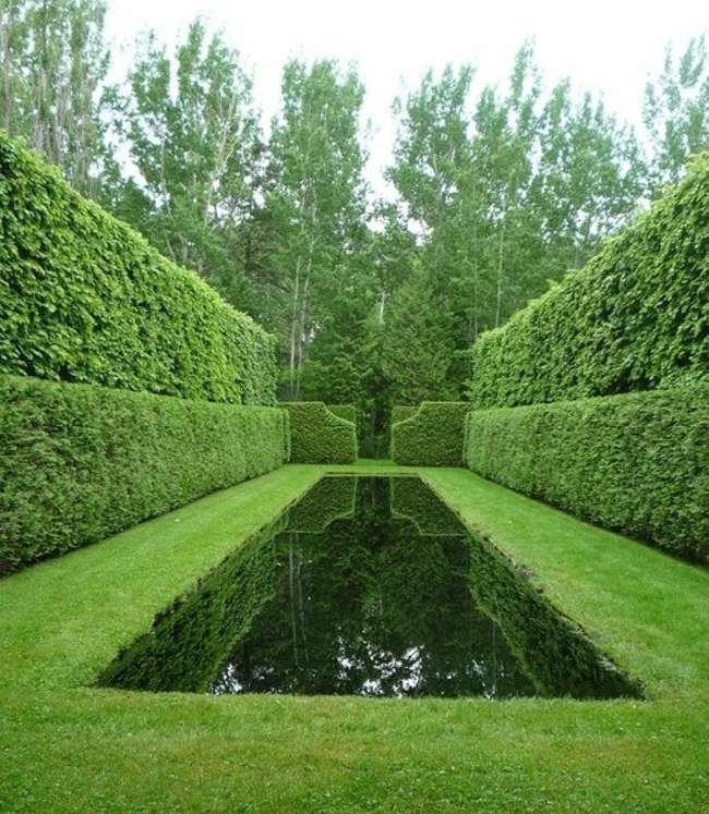 grön engelsk trädgård design simbassäng