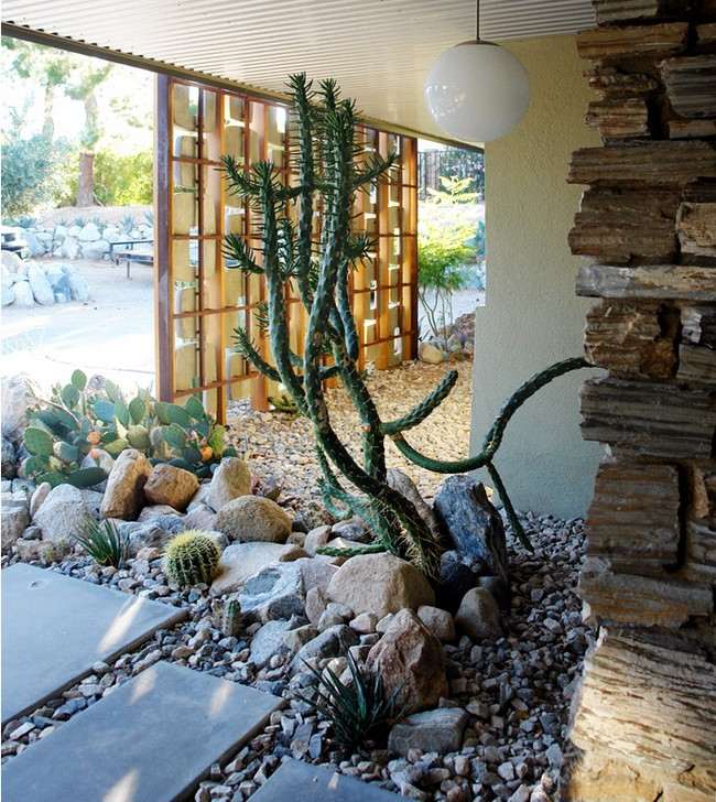 sten trädgård kaktusar trädgård design idéer projekt för gården ombyggnad