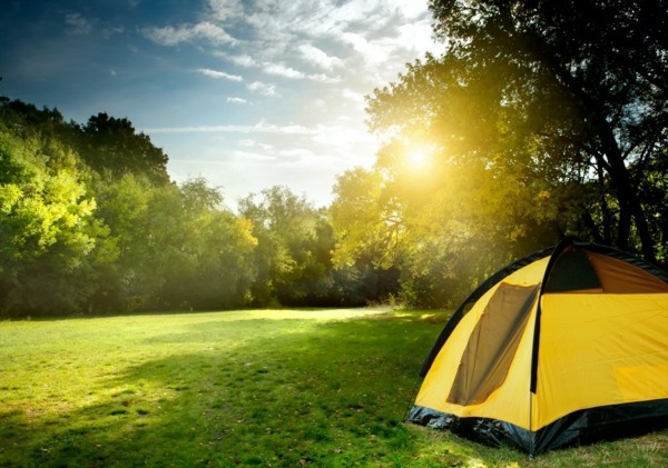 Camping äng skog sommar semester
