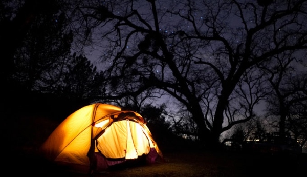läger natthimlen stjärnor skog