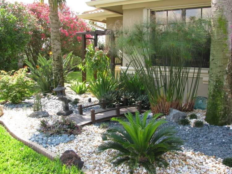 trädgård-design-idéer-soligt-läge-torka-älskande-växter-palm-grus
