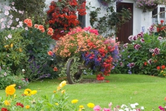 Skottkärra blomkruka kreativa idéer idylliska trädgårdar