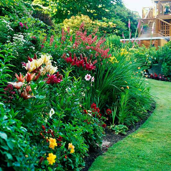 idéer för sommar trädgård design olika växter