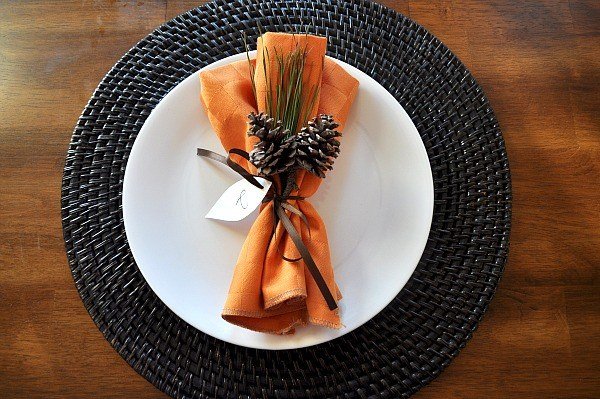 bordsskivor dekoration höstens apelsin servett kottar rotting placemat