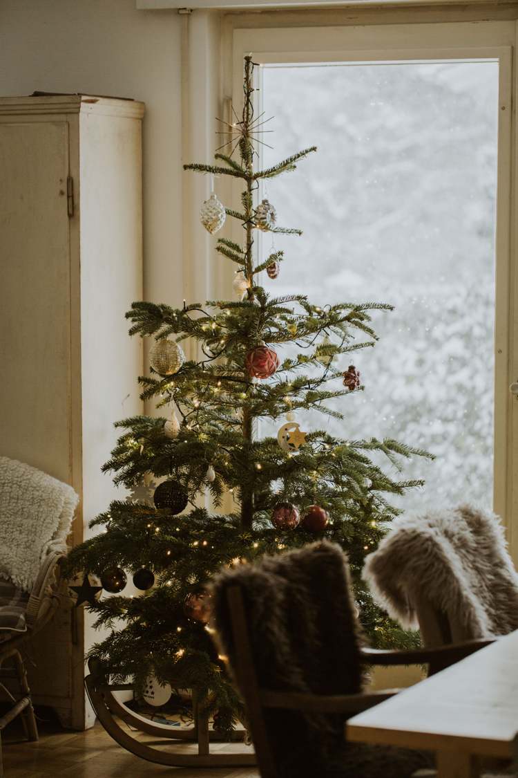 Få julgranen att hålla längre Hitta den perfekta platsen hemma