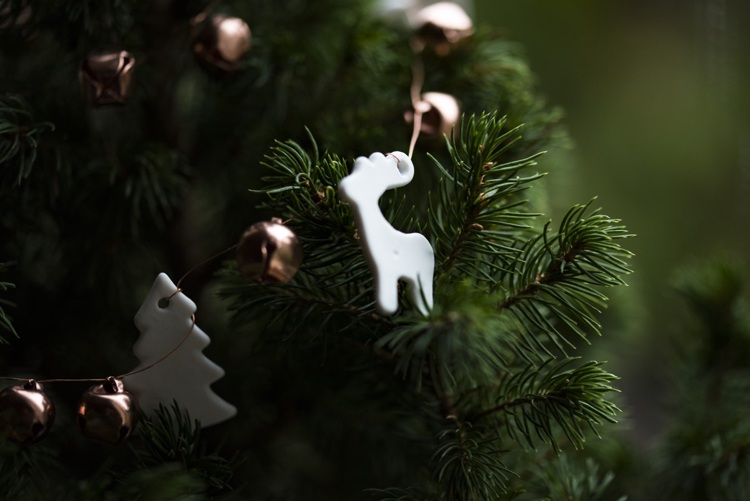 Få julgranen att hålla längre Skötseltips Färska gröna nålar