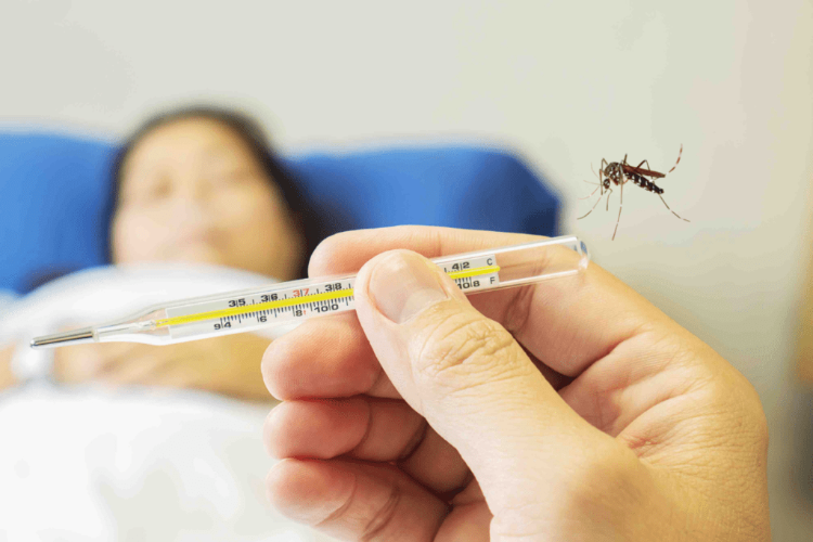 typiska symptom på denguefeber är hög kroppstemperatur och svaghet