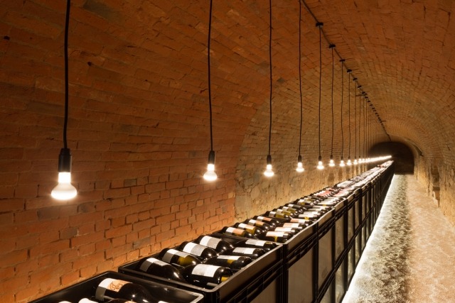 förvaring källare vin presentation nedan möjliga många typer av vin