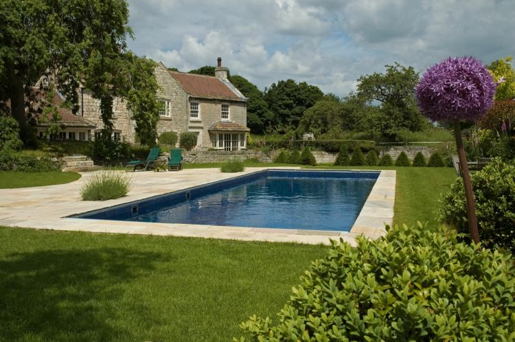 pool i trädgården inspirations-rektangulär-form-gräsmatta