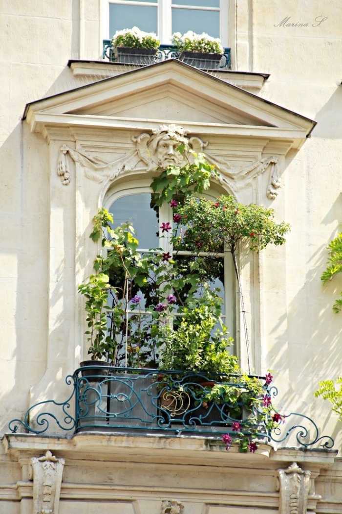 Franska-balkong-golv-till-tak-fönster-dörrar-fallskydd-borstning-dekorativa-hängande växter