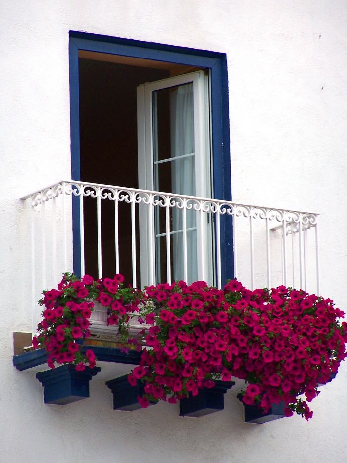 Balkongräcke-fönstergaller-fransk-balkong-blommor-liten trädgård