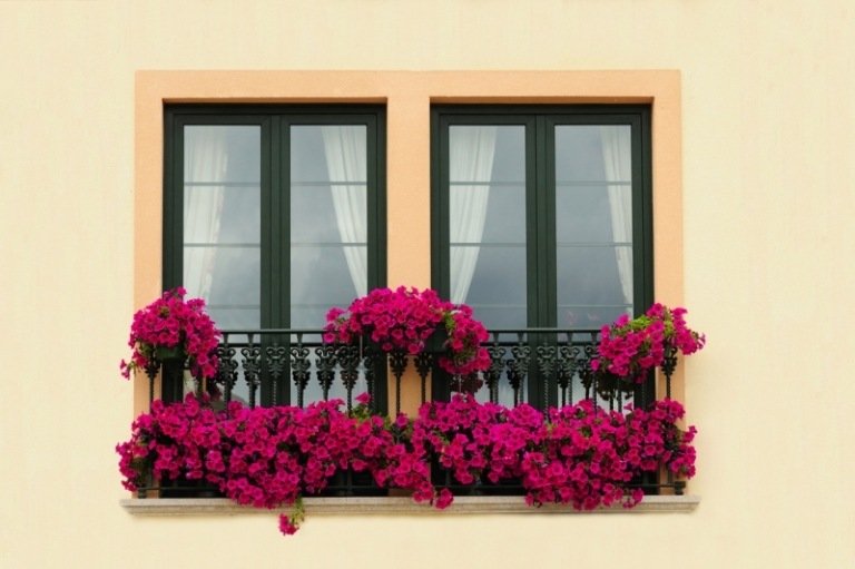 dekorera-den-franska-balkongen-fönster-galler-blomma-lådor-med-vackra-blommor