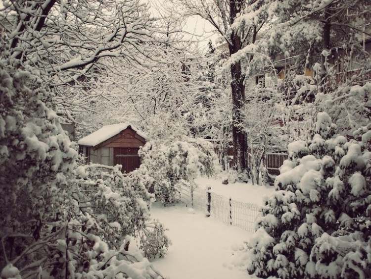 Trädgård i januari vad-att-göra-snötäckt hus