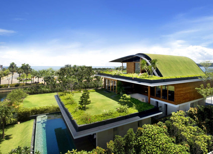 Hus med en grön takpool med glasvägginteriör