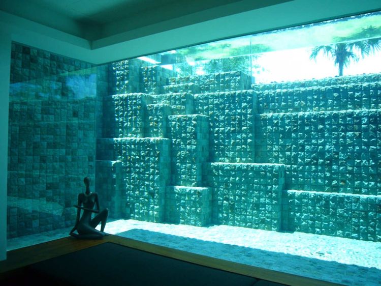 Glasväggvy interiör zen atmosfär poolvatten