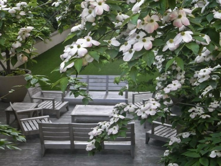 dogwood-trädgård-terrass-trä-trädgårdsmöbler-bänk-soffbord