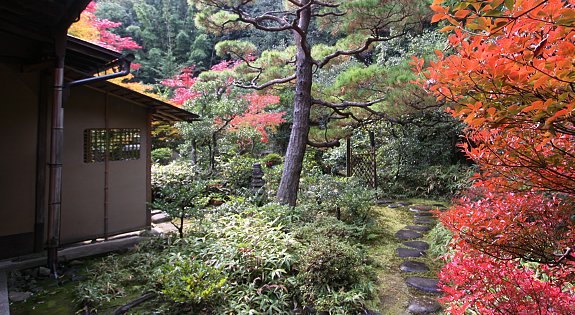 Japan Tea Garden Kotoin Temple Kyoto