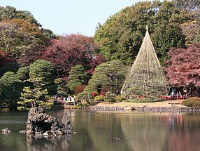 inslag av japanska trädgårdsväxter