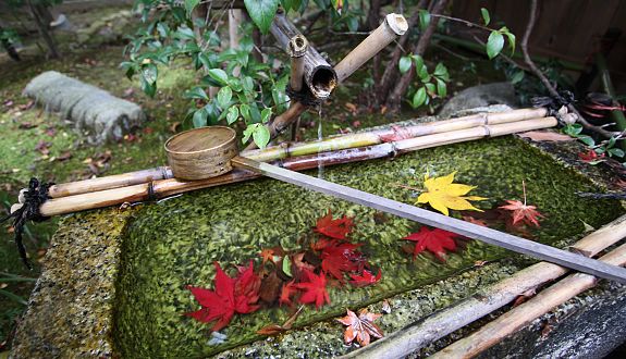 inslag av japansk trädgårdsarbete höstdekoration