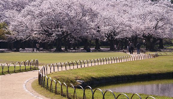 element av japansk trädgårdskonst platt ut