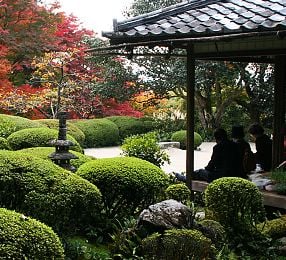 delar av japansk trädgård design te hus