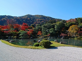 inslag av japanska trädgårdsbergen