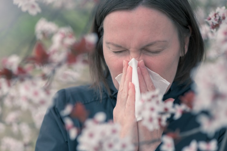 klimatförändringar kan orsaka nya typer av pollenallergier