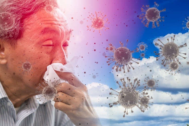 immunsvar mot virus genom allergisk reaktion mot klimatförändringar