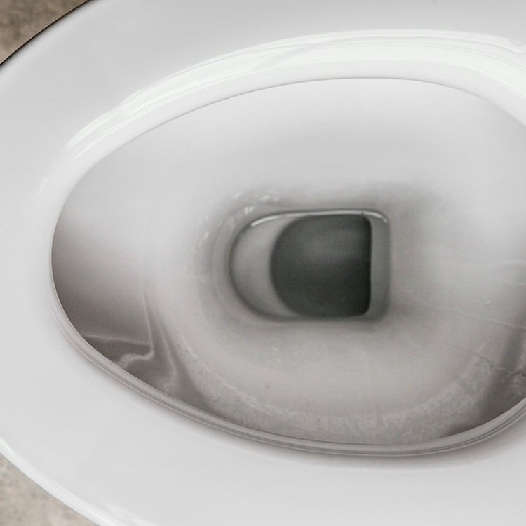Magisk svamp mot urinsten i toaletten