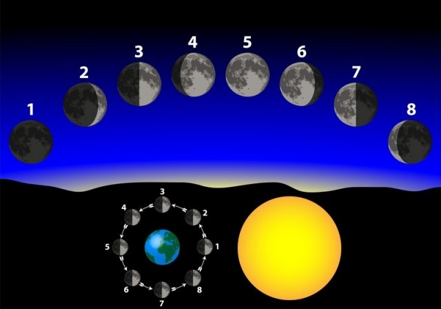 cykler fullmåne nymåne rotation jordens egen axel