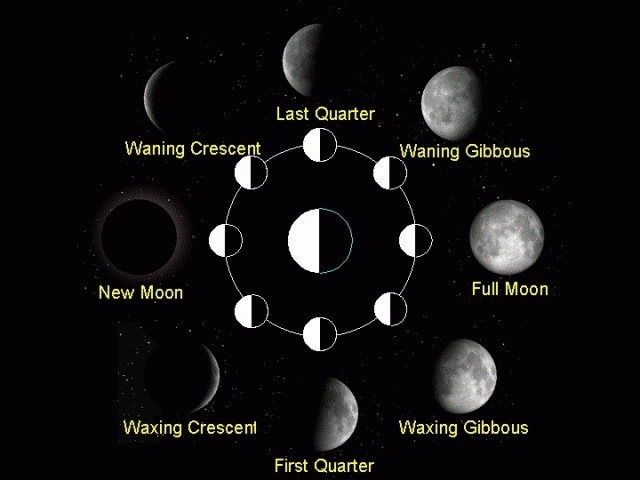 Månekalender fyra månfaser känd rotationsjord
