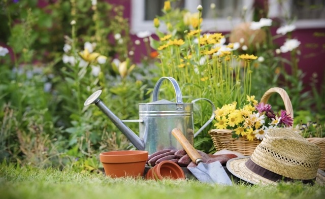Köp en månkalender för trädgårdsarbete gör arbetet enklare tips