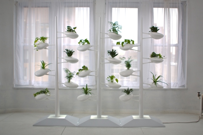 A Design Award Installation- Planters Green Wall-Indoor Garden