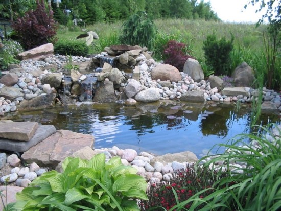 Upprätthålla en damm i trädgården Tips och tricks Plantera stenar