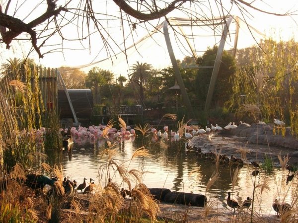 biopark i argentina med modern design flamingos