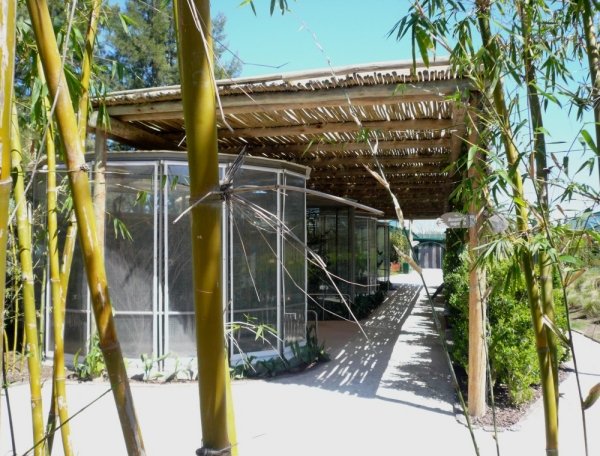 modern design biopark i argentinska fågelburar