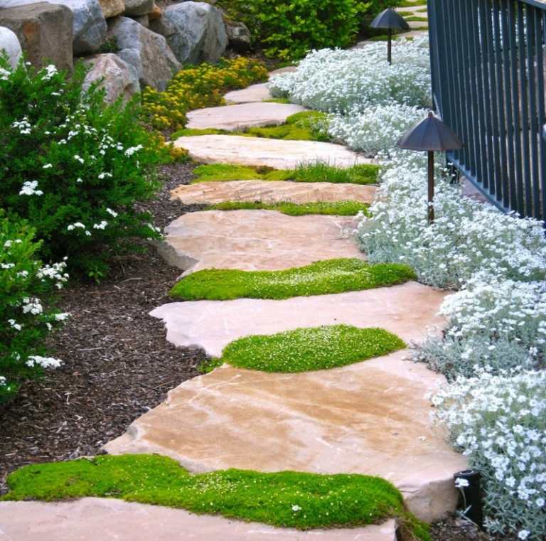 stenväg i trädgårdsfogarna mossa natur design staket sten trädgård