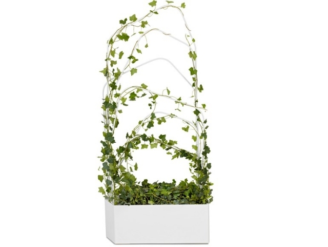 Växtlåda med spaljé-metall-vit-murgröna-skydd