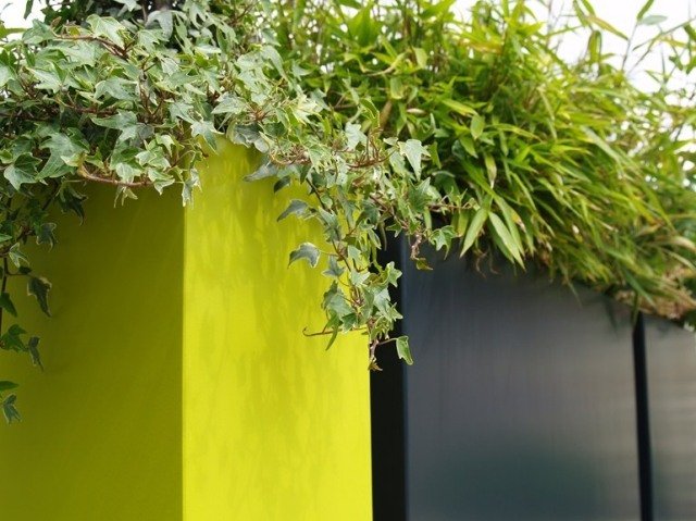 design planters murgröna balkong sekretessskärm