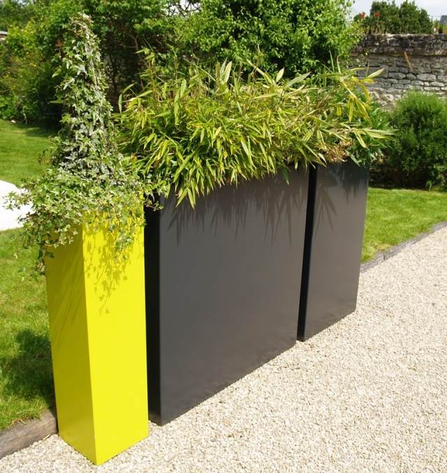 designer planter tall green privacy screen plants