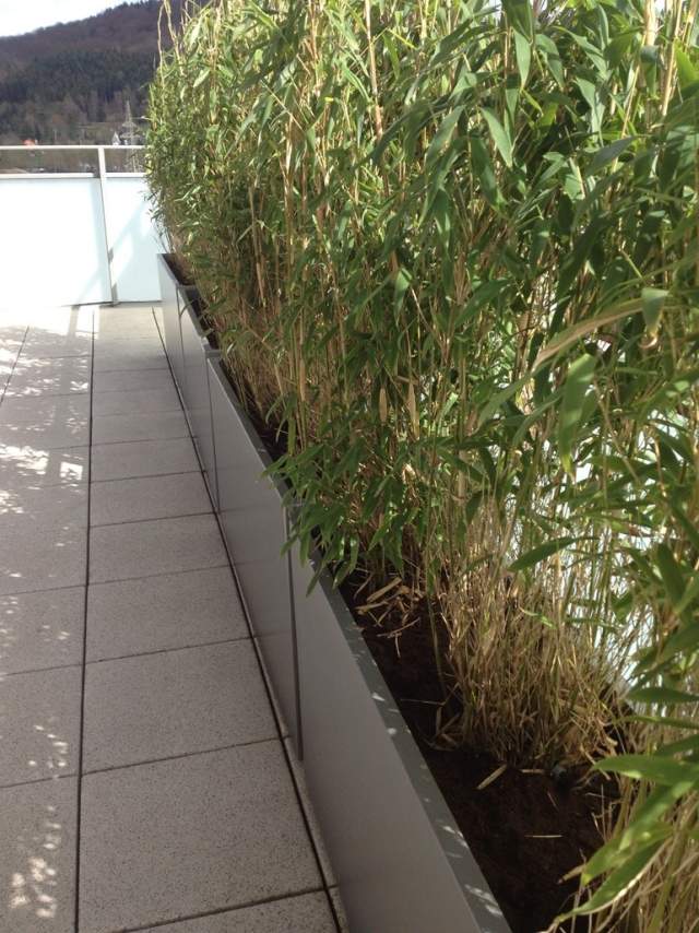 balkong sekretess skärm bambu växter fiber cement badkar