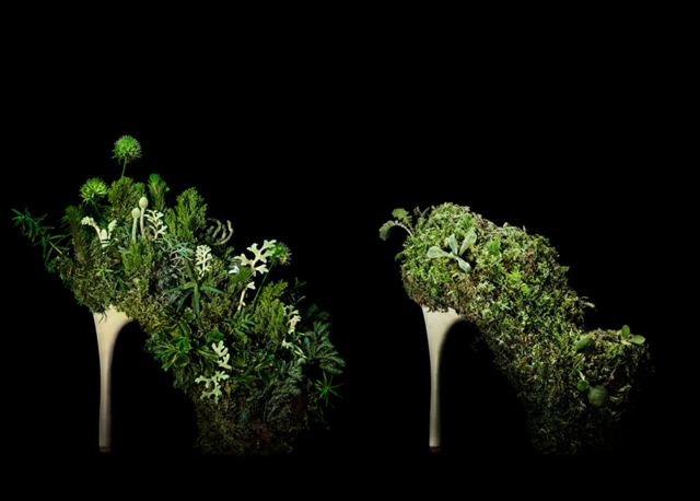 Inspiration-natur-grön-flora-skor