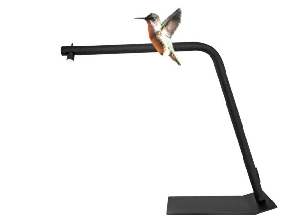 Colibri designer lampa bordslampa Led