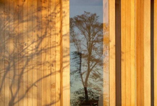 design fönster dörr natur reflektera träd lugn