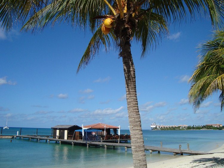 Västindien Aruba Sun Palm Trees Resmål 2018