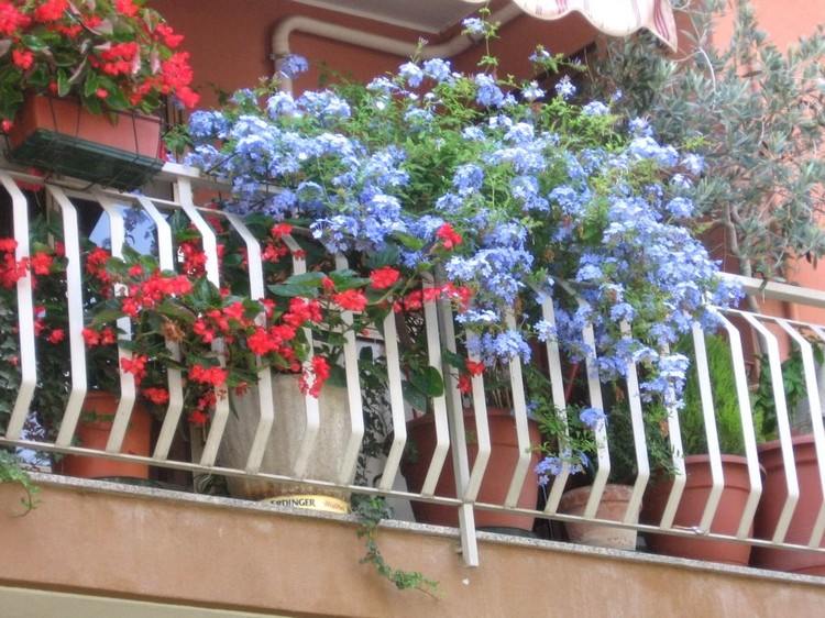 balkong-växter-arrangera-pärla-ångest-blå-integritetsskydd